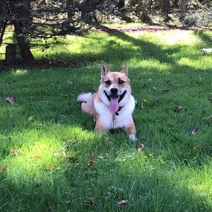 Meet your Posher, Allison